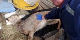 � ������������� ������ ���������� ������ ��������� � ������� ������