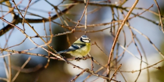 � ����������� ������� ������ �������� � ������������ ������ � ����������� �� +10