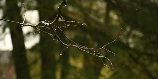 � ����������� ������� ��������� ������ ����� � ����������� �� +10