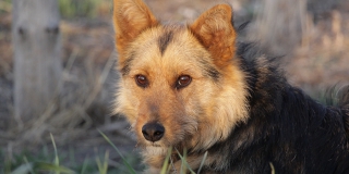 �� ����������� ������� ������ ����� ��������� ���������� ��������� �� �������