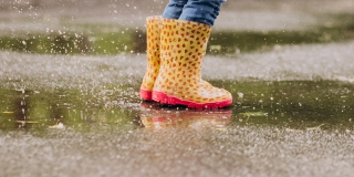 � ����������� ������� ������ ������� � �������, ������� � ������������ �� +21