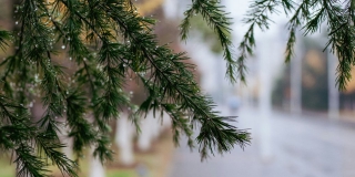 � ����������� ������� ��������� ��������������� ����� � �������