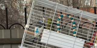 �� ��������� ������� � ������ ���������� ������ � ���������� ���������