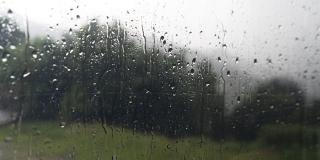 В Саратовской области прогнозируют дождливый день с сильным ветром В Саратовской области прогнозируют дождливый день с сильным ветром