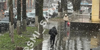 ��������� �� ���� ������������ ��������� �������� �� ������ ���������� �����