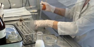 � ����������� ������� ������ 86 ���� ������������ ������ ���������