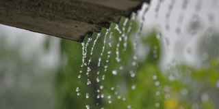 В Саратовской области праздничный день пройдет с дождями и туманом В Саратовской области праздничный день пройдет с дождями и туманом