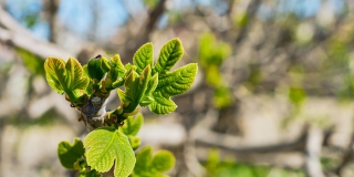 В Саратовской области прогнозируют дожди и скорое потепление до +21 градуса В Саратовской области прогнозируют дожди и скорое потепление до +21 градуса