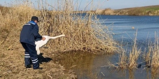 � ����������� ������� ������ ������ � ������� ����� � ����������� � ��� �����