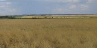 ��� ��������� ���������� � ����������� ������� �������� ������ ������������ ���