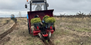 � ����������� ������� �������� ����� 200 �� ������ ����