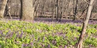 ������� ���������� ���������� �� �������� ��������� � ����� �������