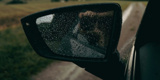 � �������� ������ �������� � ������ � ����������� �� ���� +11