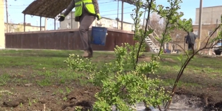 � �������� �������� �������� ���������� ������