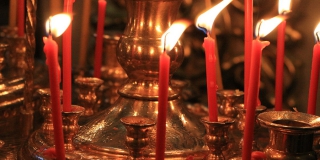 ������������ �������� �������� ��������