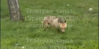 �� ����� ���������� ����� ��������������� ����� �������� ������