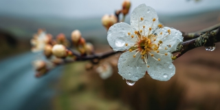 � ����������� ������� ������������ ���������� ���������� � �����