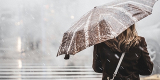 � ����������� ������� ��������� ����� � �������� ����� �� 22 �/�