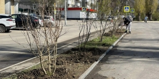 � ���������� ����� � �������� �������� ������ ����� ������