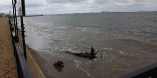 ����� �������������. ����� ������� ����� � ����� ��������, ������ ���� ���������