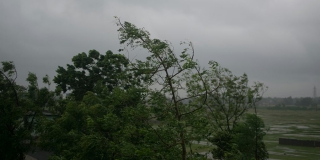 � ����������� ������� ������������ ��������� �����: ������ ��������� 26 �/�