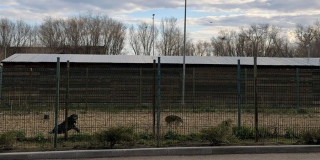 � �������� ������ �������� �� ������� ��������� ��������