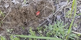 � �������� ����� ������� � ������� ��������� ��� �����. ���������� ����