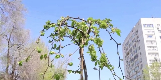 � �������� ������������� ������� ��������� ���������� � ������� ���� ��������