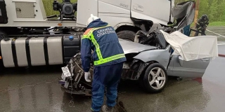 � ����������� ������ ��������� ��������� �� ����� ����� ��� � ������������