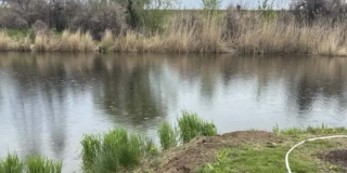 ������� ������ ���������� ����� � �������� ���� ����� ������� ������ �� �����
