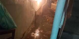 �� �������� ������ �������� �� ����� ���������� ������� ���������������� ����
