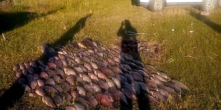 � ��������� ������ ����� ������� ��������� � ���������� ������ �� 112 �����