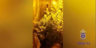 ��������� ��������� �� �������� �������� � ���������� � ���������� �� ����
