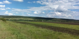 В Саратовской области прогнозируют 30-градусную жару В Саратовской области прогнозируют 30-градусную жару