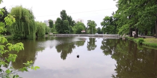 Благоустройство Городского парка Саратова выполнили на 40% Благоустройство Городского парка Саратова выполнили на 40%