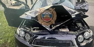 ����� �� ����������� �������� ���������� �������� �����