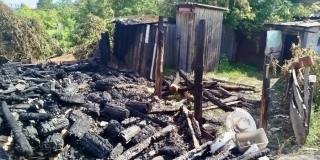 В Хвалынском районе 17 кур погибло при пожаре в сарае В Хвалынском районе 17 кур погибло при пожаре в сарае