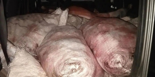 В Ершовском районе задержали машину с 38 тушами баранов без документов В Ершовском районе задержали машину с 38 тушами баранов без документов