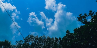 � ����������� ������� ������������ ������������ ������ � ������������ �� +30