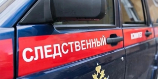 В Гагаринском районе собака напала на 10-летнего мальчика. СК расследует дело В Гагаринском районе собака напала на 10-летнего мальчика. СК расследует дело