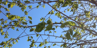 � �������� ������ ������� 300 ������������ �������� �� ������������ ���������