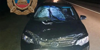 ��� ��������� ������� ����� ����� ������ ������