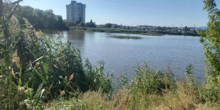 СК начал проверку из-за обнаружения трупа женщины в пруду Зеркальный СК начал проверку из-за обнаружения трупа женщины в пруду Зеркальный