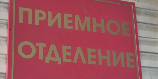 В Балакове пара оказалась в больнице из-за укусов домашней кошки В Балакове пара оказалась в больнице из-за укусов домашней кошки
