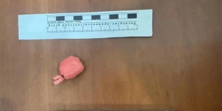 В Энгельсе двух девушек подозревают в создании пяти тайников с наркотиками В Энгельсе двух девушек подозревают в создании пяти тайников с наркотиками