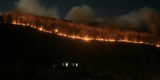 Возле села Лох уже несколько дней тушат памятник природы Возле села Лох уже несколько дней тушат памятник природы