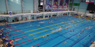Саратовские пловцы выиграли две медали чемпионата Европы Саратовские пловцы выиграли две медали чемпионата Европы
