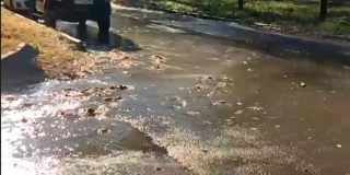 �������� � �������� �������� ������������ ����� � ������� �����������