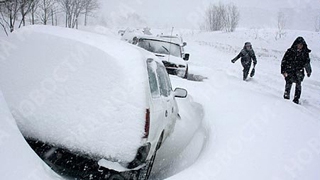 В Камышине дорогу от снежных завалов освободят сегодня к полудню