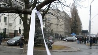 ��������� ������ ������ �������� � ��������, ������ ���� ������� �������